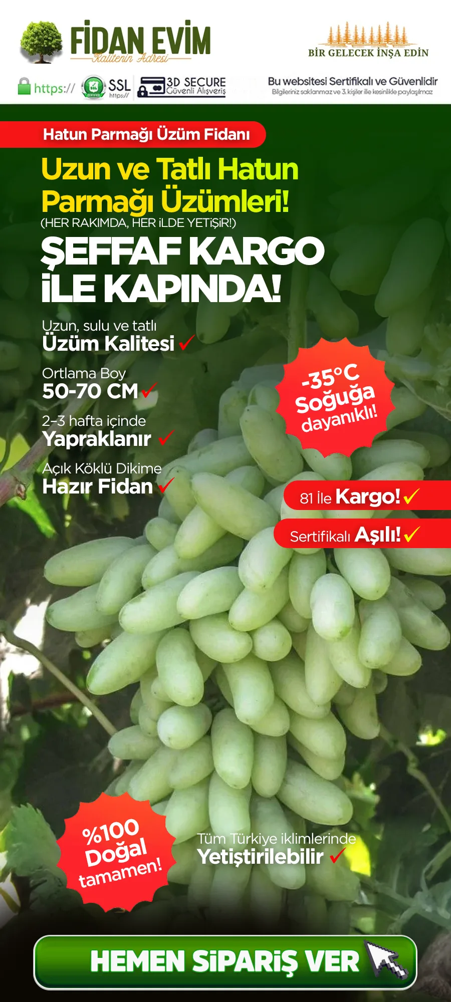 hatun-parmagi-uzum.jpg 1