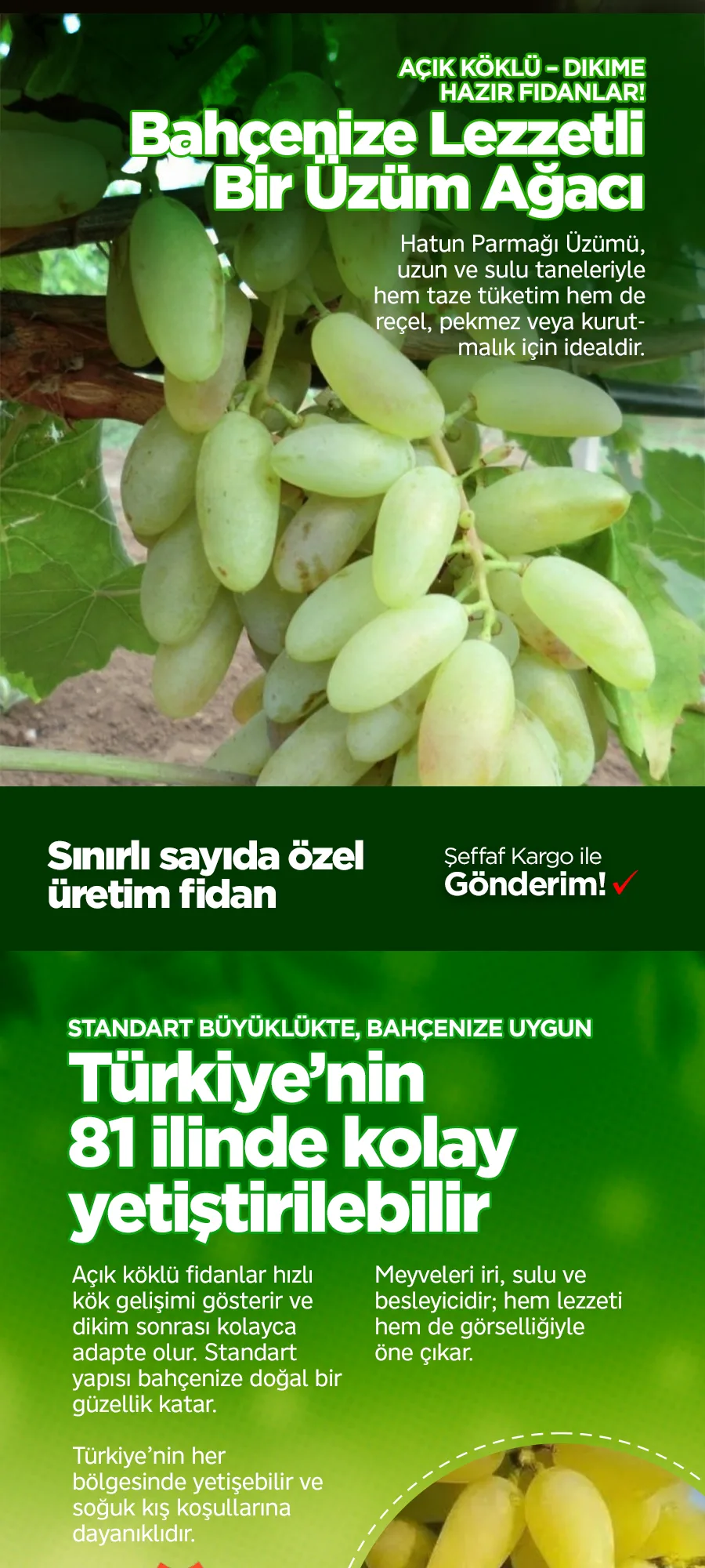 hatun-parmagi-uzum.jpg 2