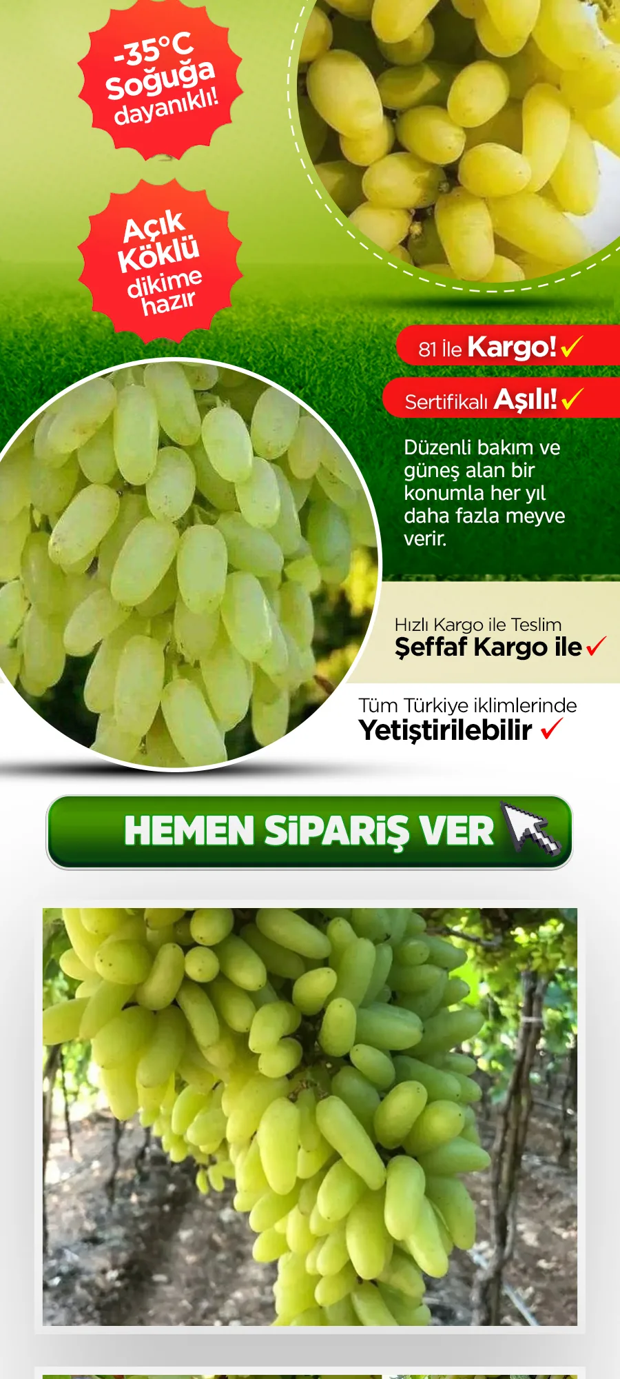 hatun-parmagi-uzum.jpg 3