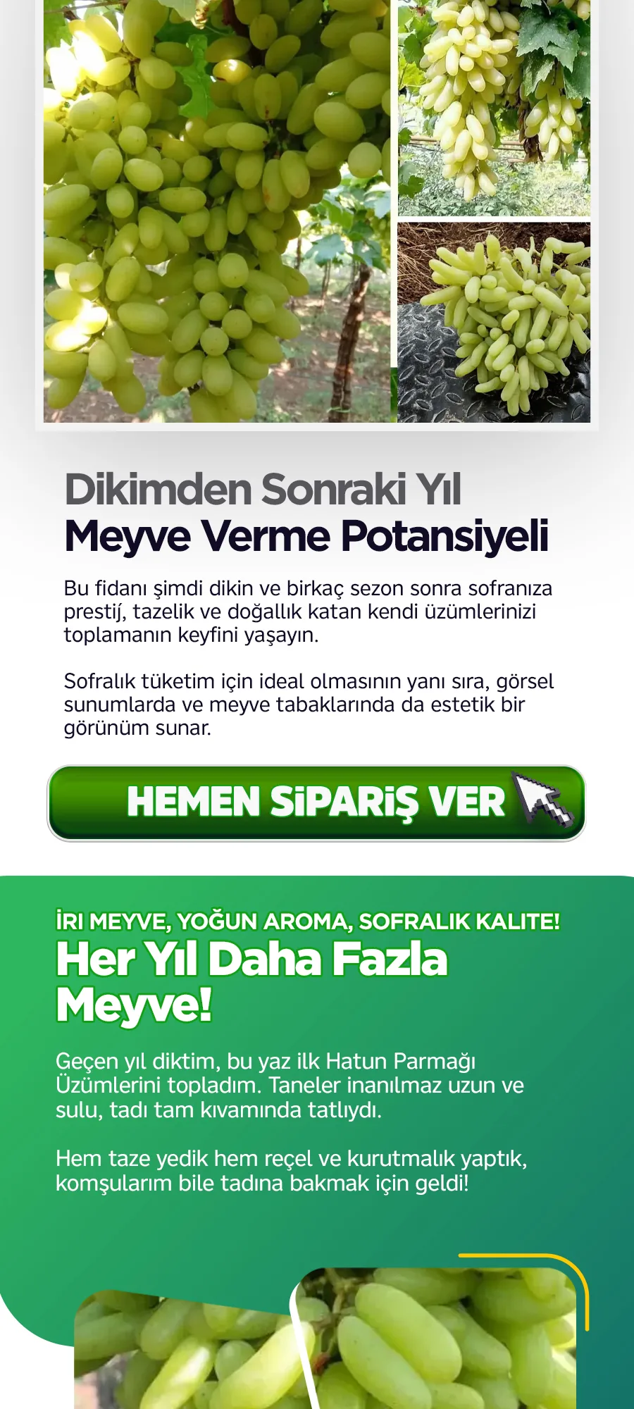 hatun-parmagi-uzum.jpg 4