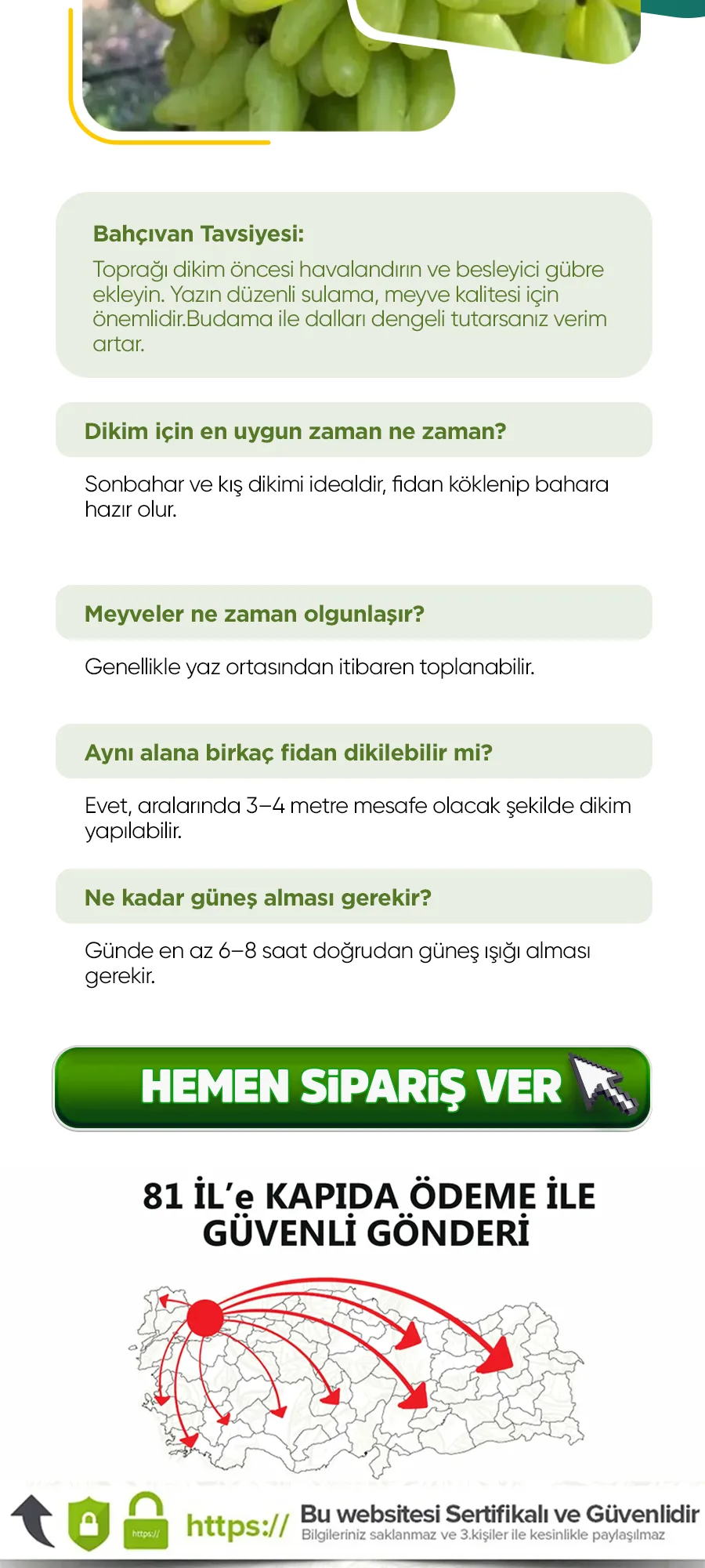 hatun-parmagi-uzum.jpg 5